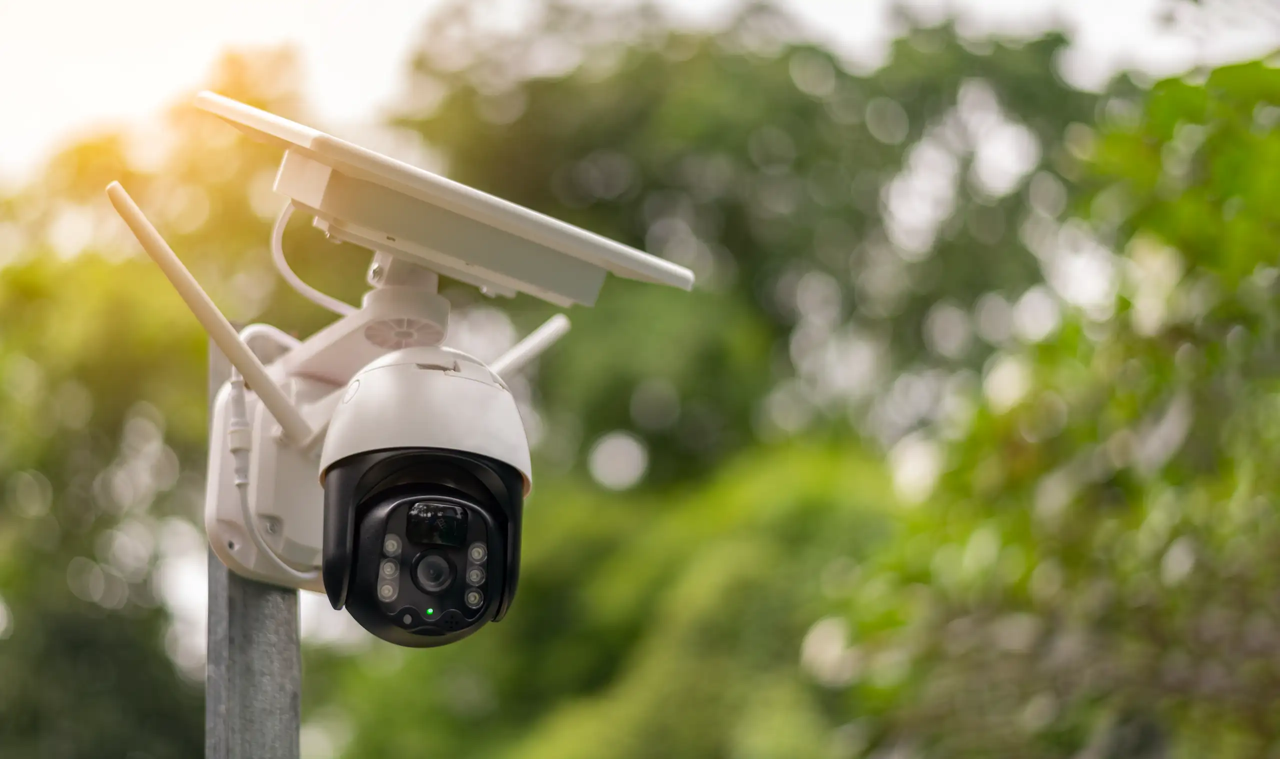 Kamera IP z funkcją monitoringu zamontowana w otoczeniu zieleni